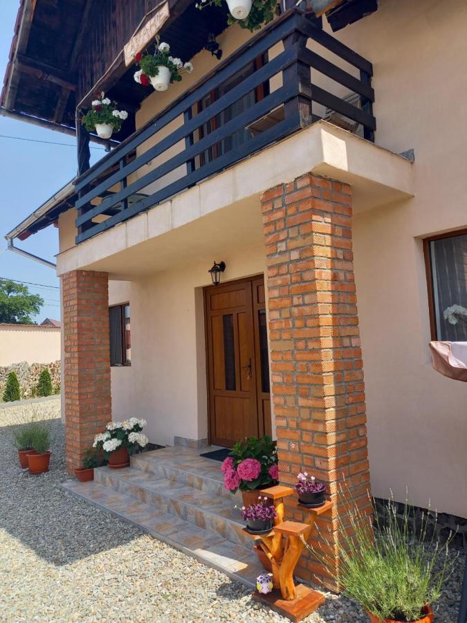 Casa Loredana Кырцишоара Экстерьер фото